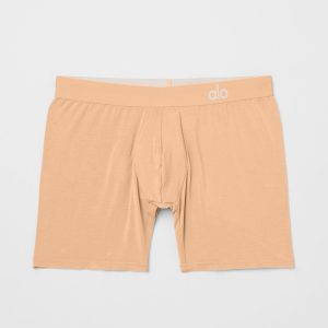 Day and Night Boxer - Champagne