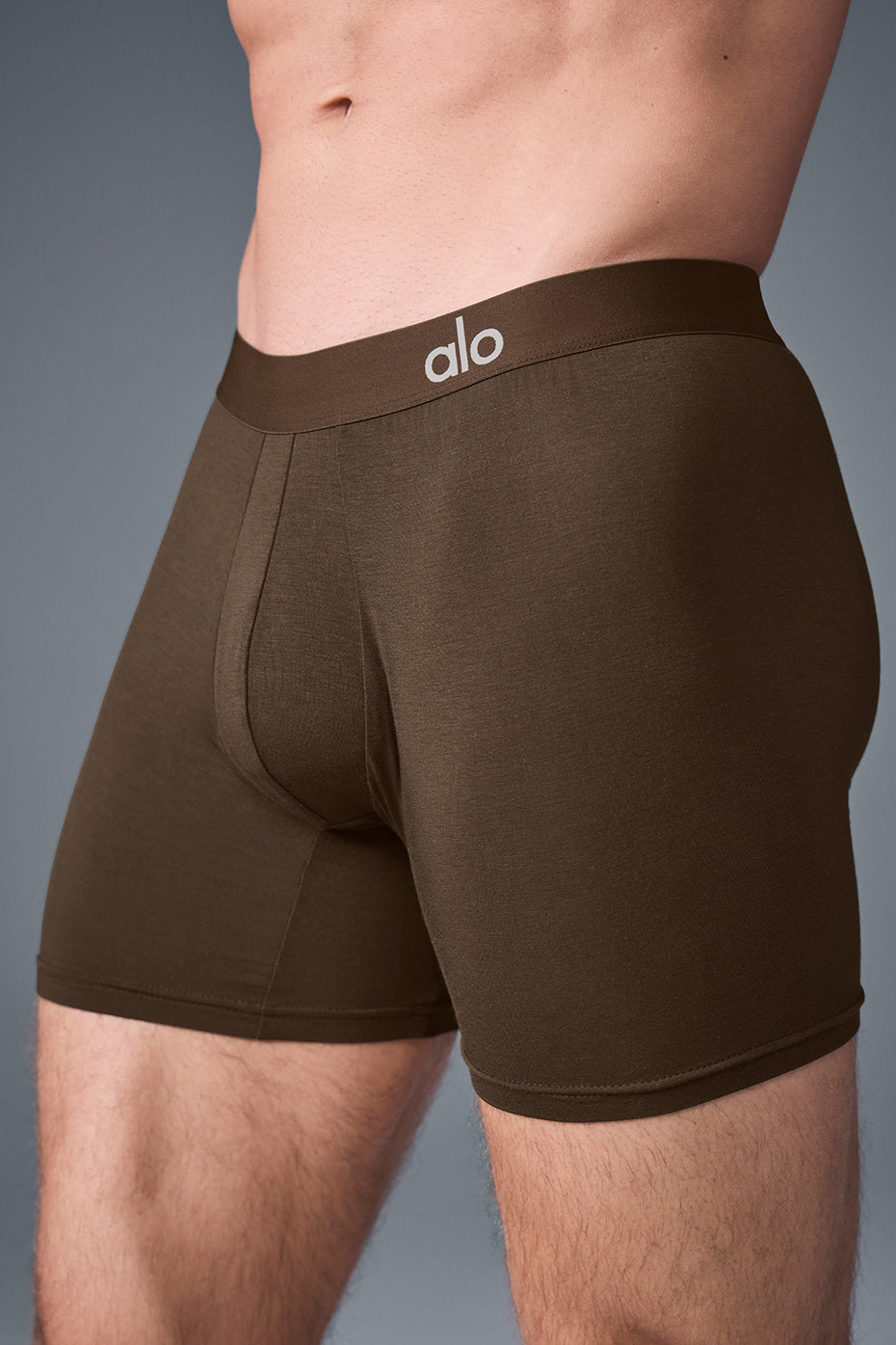 Day and Night Boxer - Espresso - Image 6